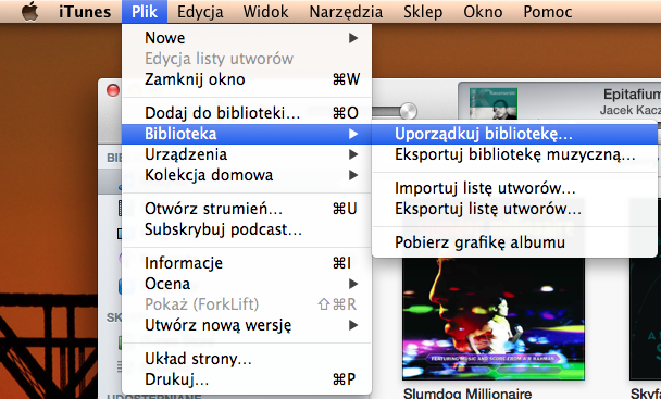 Uporządkuj bibliotekę polecenie