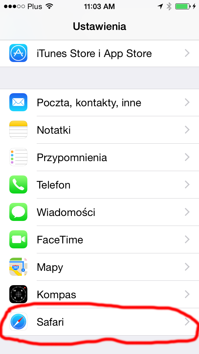 safari